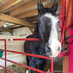 Meet your Posher, Jamie